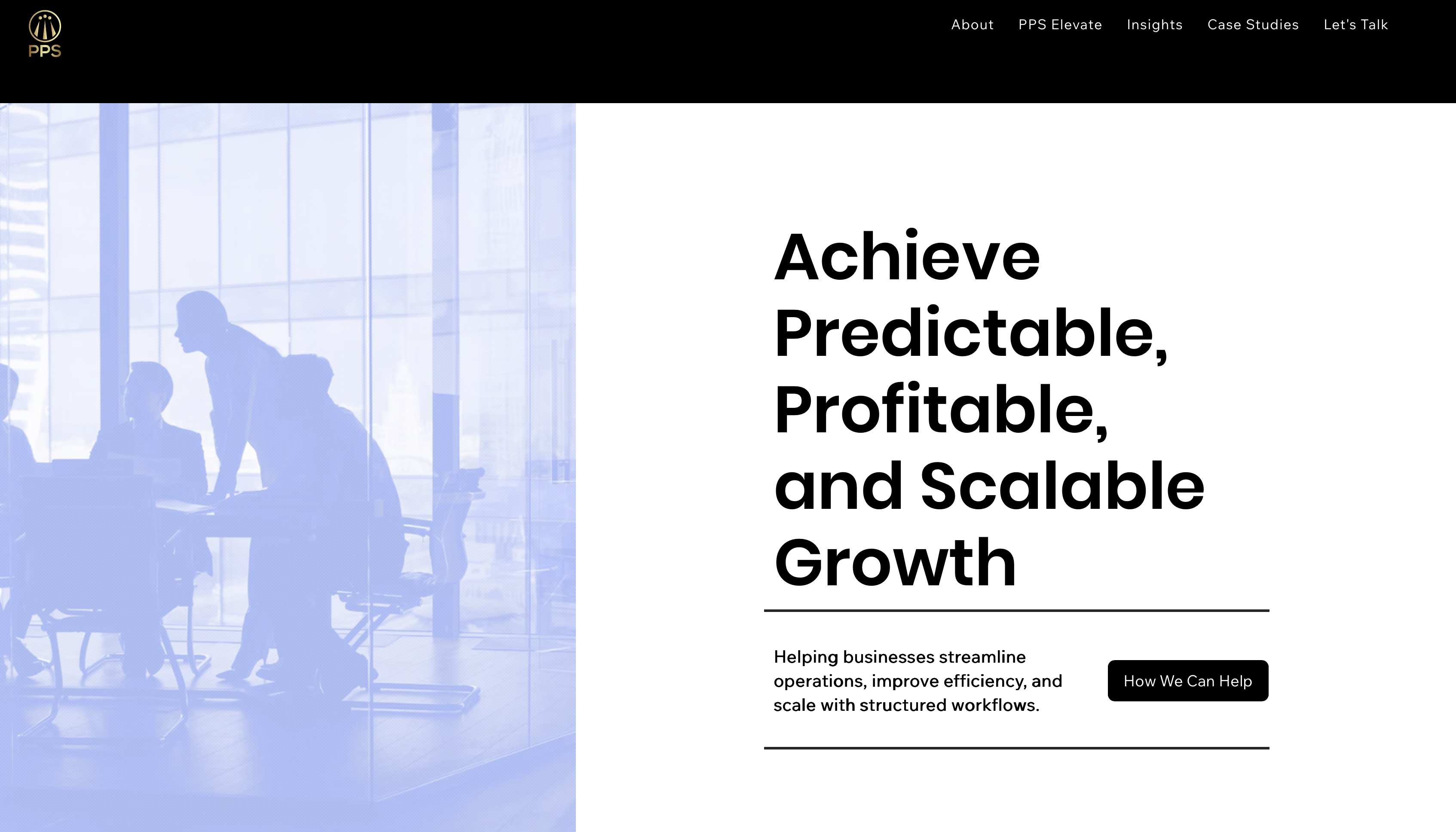 PPS Consulting website screenshot